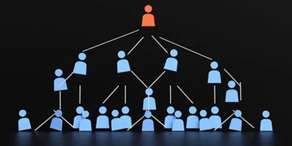 Ponzi Scheme Recovery