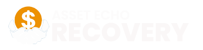 Asset Echo Recovery